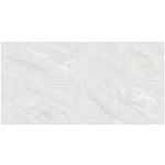 pacific silver endless