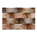 elevation & parking Tile