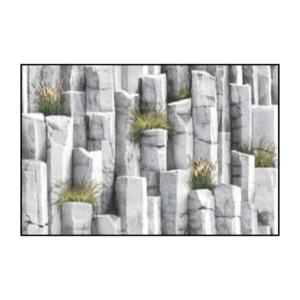 tropical amazone (copy)