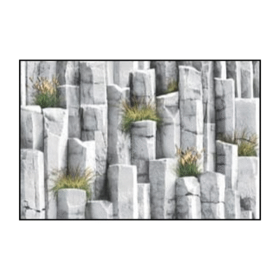 tropical amazone (copy)