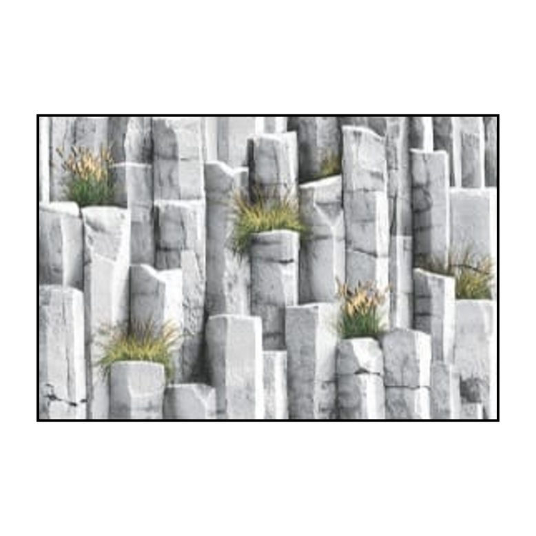 tropical amazone (copy)