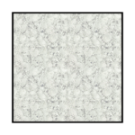 onyx ash (double charge) (copy)