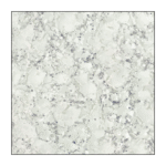 onyx pista (double charge)