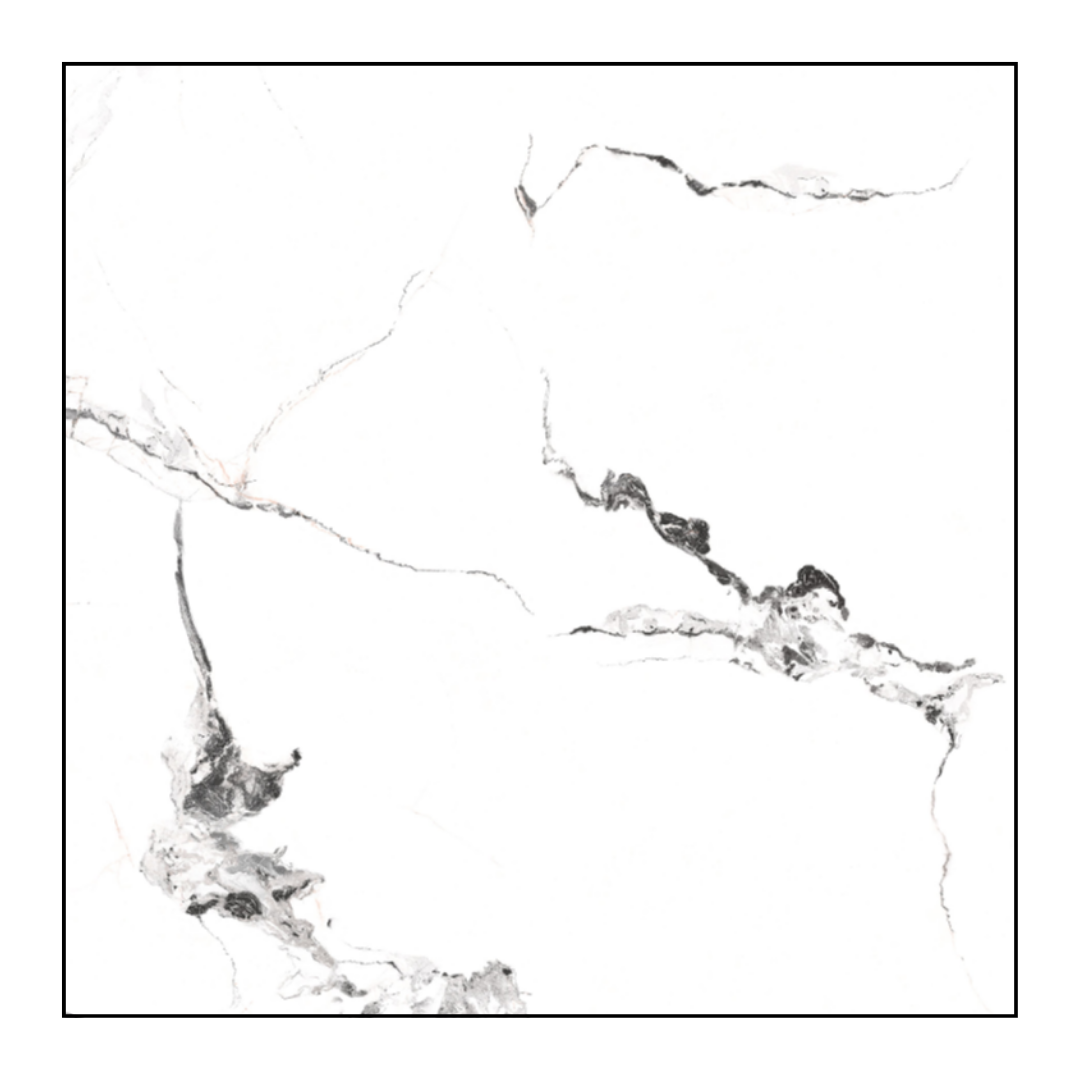 55021 (copy)