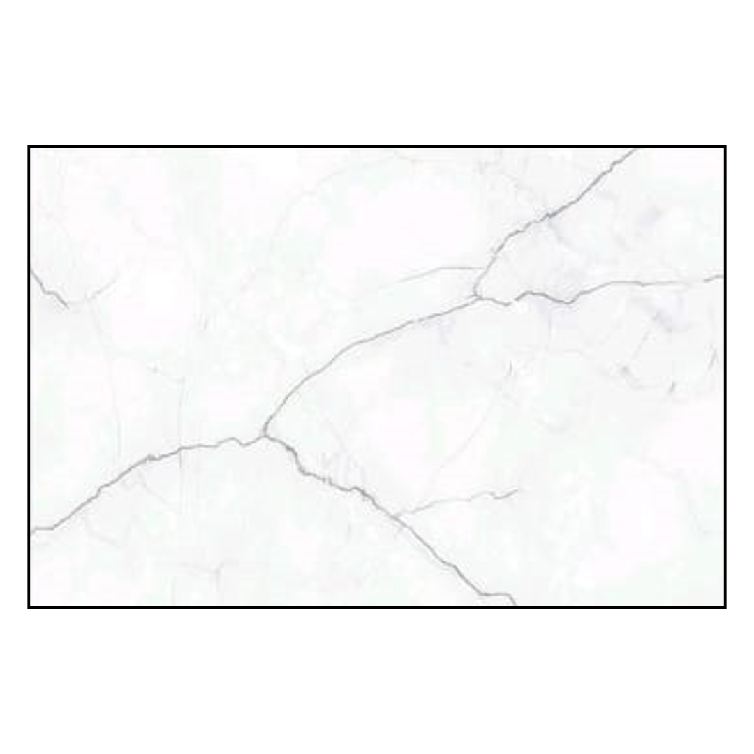 2430 (copy)