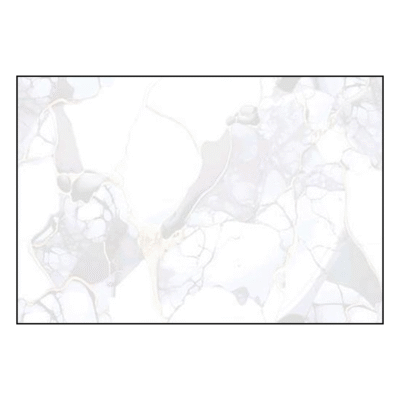 2393 (copy)