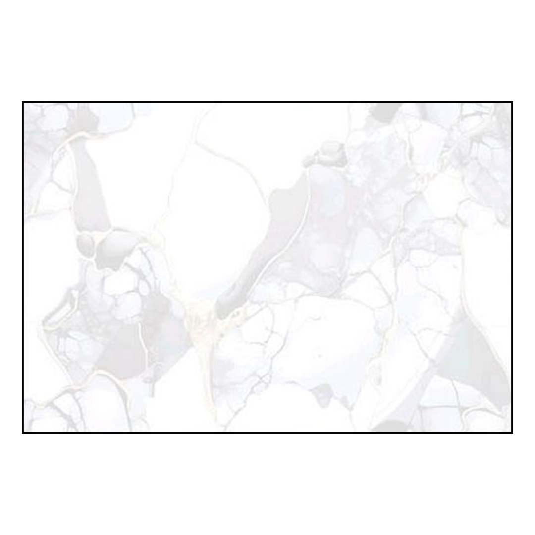 2393 (copy)