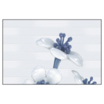 5272 plain (copy)